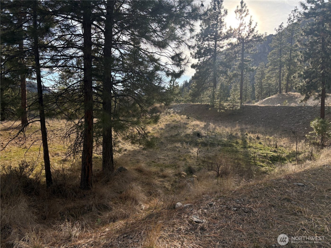 2 Mist Lake Road , Tonasket, WA 98855