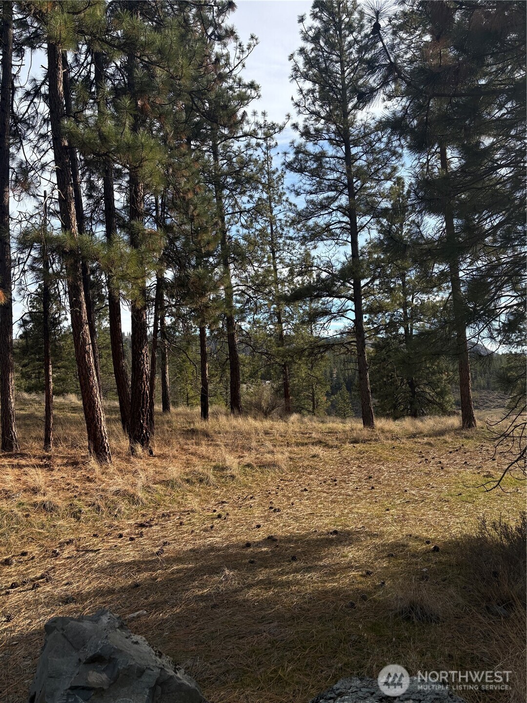 2 Mist Lake Road , Tonasket, WA 98855