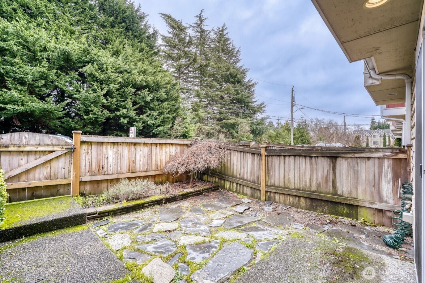 12323 10th Place NE #C, Seattle, WA 98125