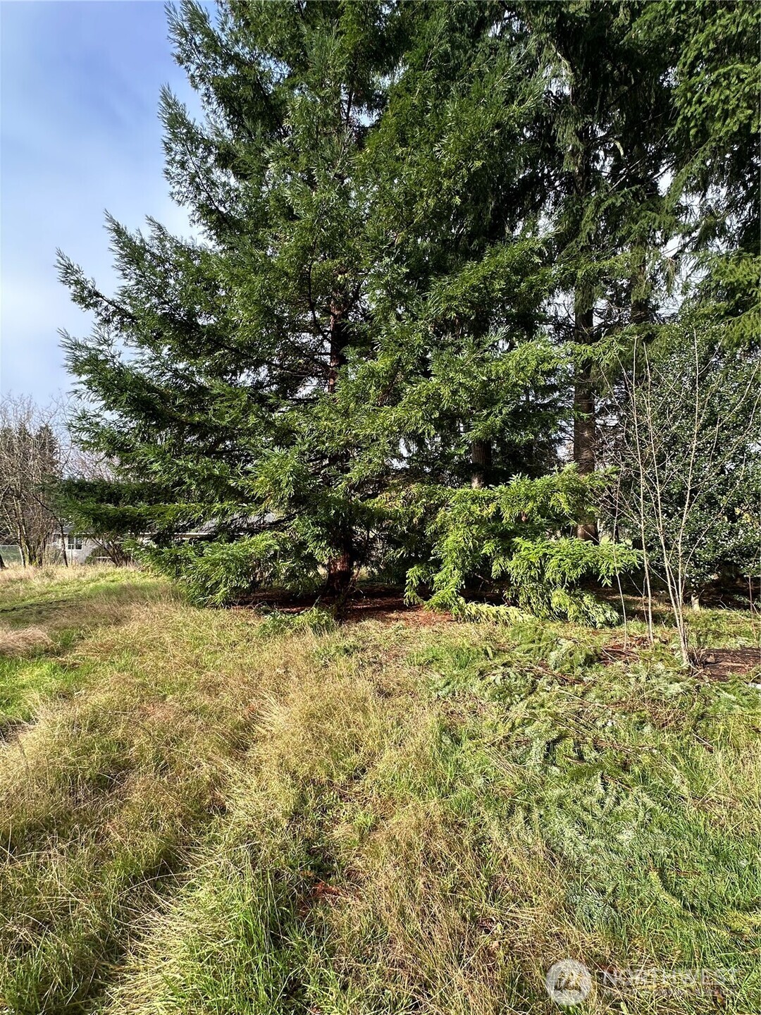 15827 Lawrence Place SE, Yelm, WA 98597