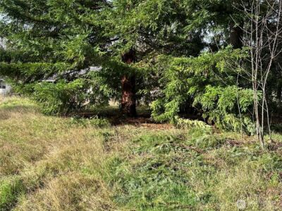 15827 Lawrence Place SE, Yelm, WA 98597 - Photo 4