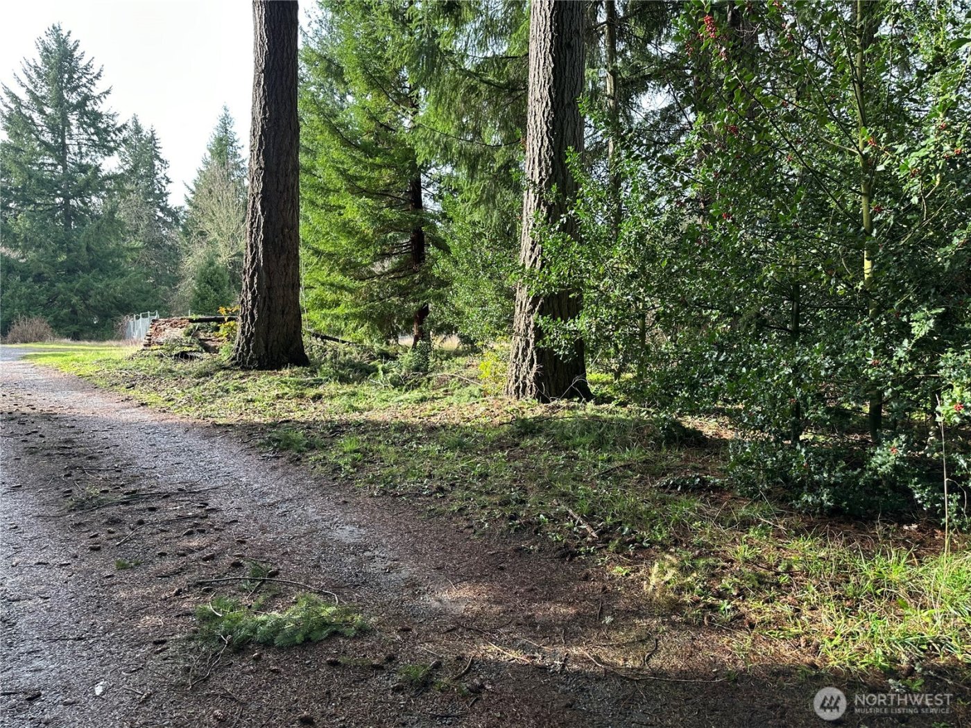 15827 Lawrence Place SE, Yelm, WA 98597