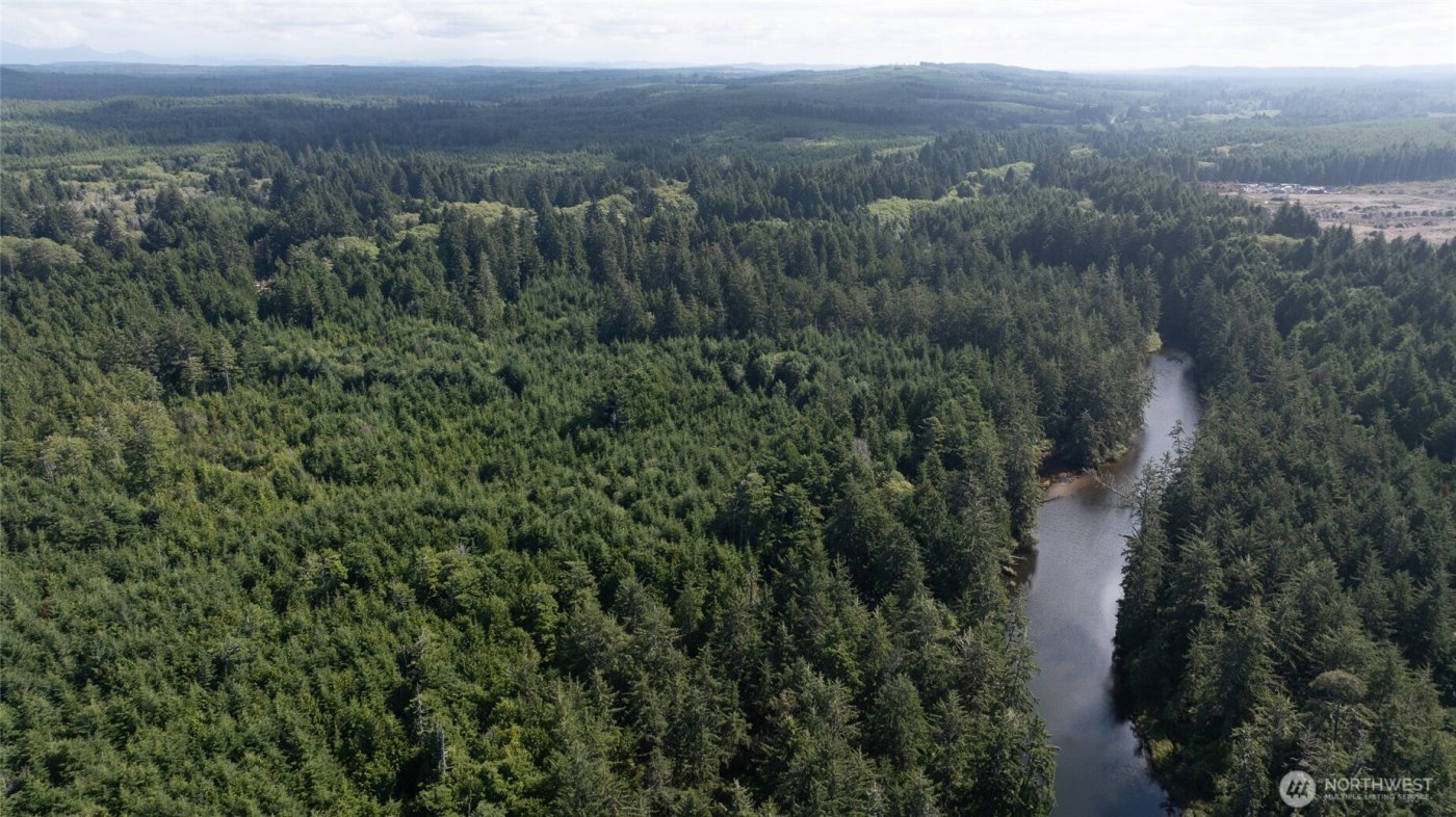 3183 Ocean Beach Road , Pacific Beach, WA 98571