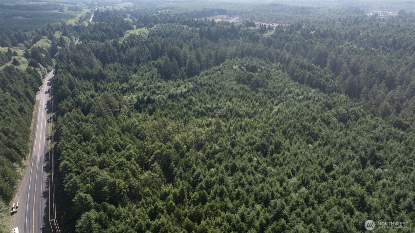 3183 Ocean Beach Road , Pacific Beach, WA 98571