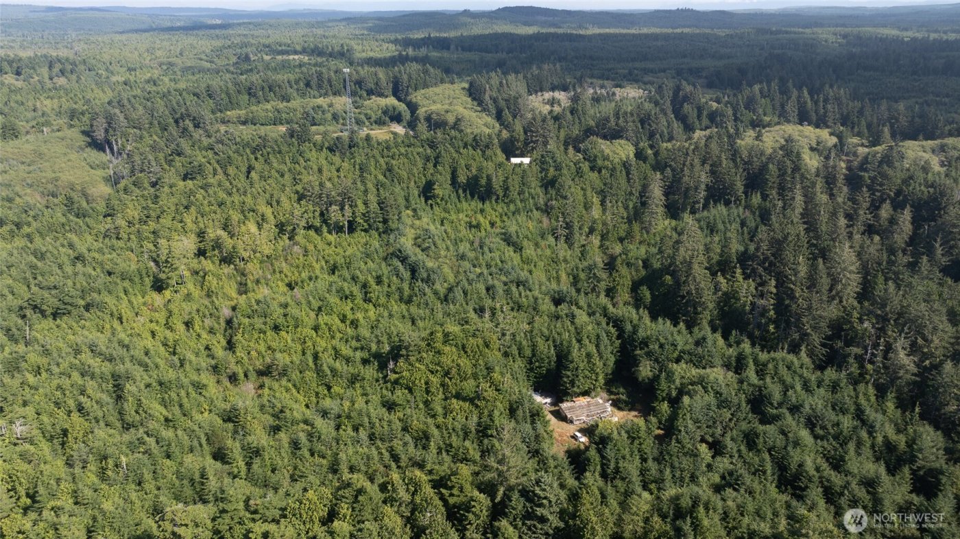 3183 Ocean Beach Road , Pacific Beach, WA 98571