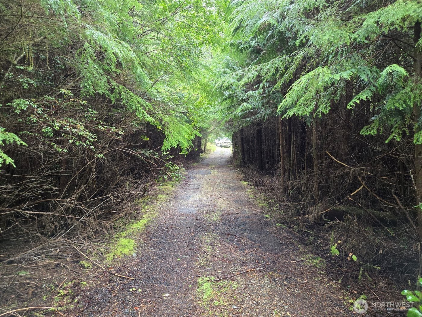 3183 Ocean Beach Road , Pacific Beach, WA 98571