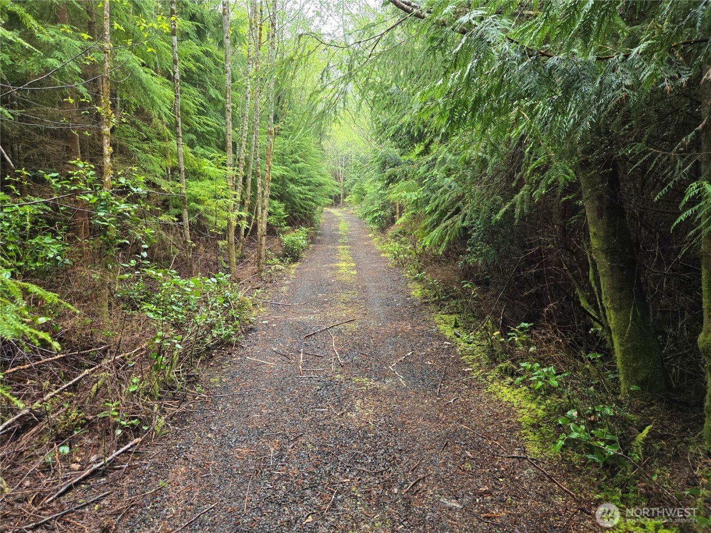 3183 Ocean Beach Road , Pacific Beach, WA 98571