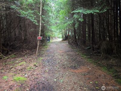3183 Ocean Beach Road , Pacific Beach, WA 98571 - Photo 5