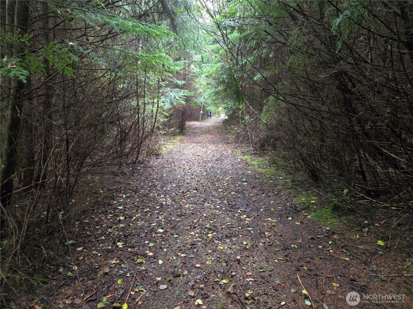 3183 Ocean Beach Road , Pacific Beach, WA 98571