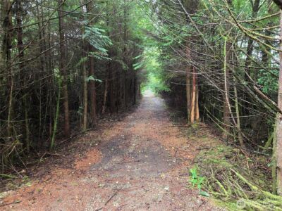 3183 Ocean Beach Road , Pacific Beach, WA 98571 - Photo 7