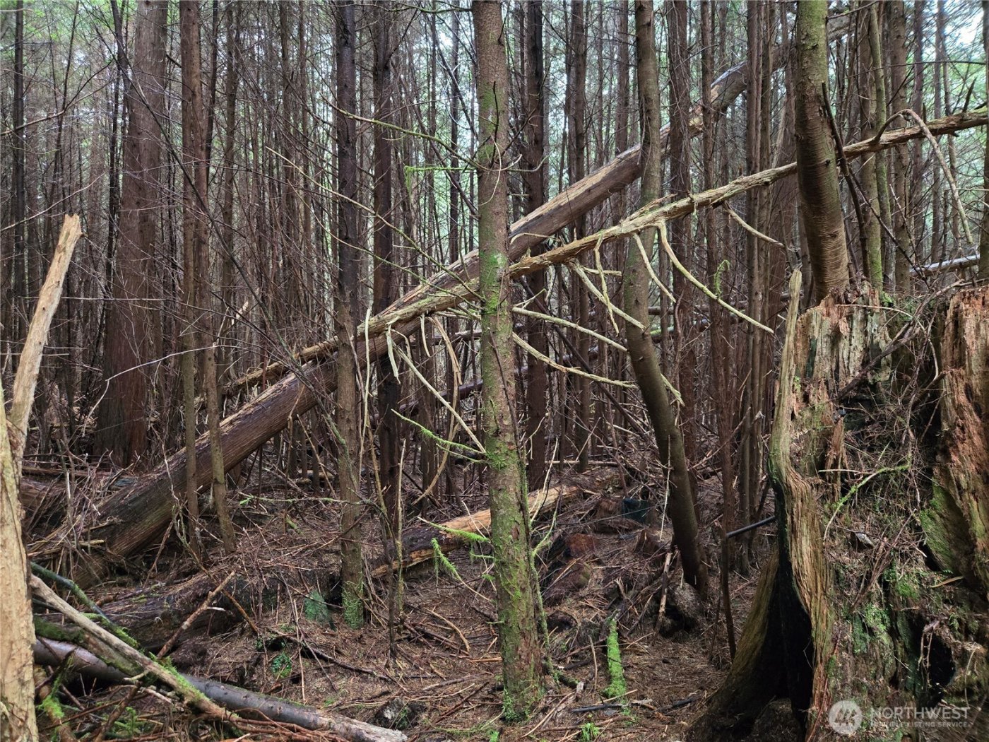 3183 Ocean Beach Road , Pacific Beach, WA 98571