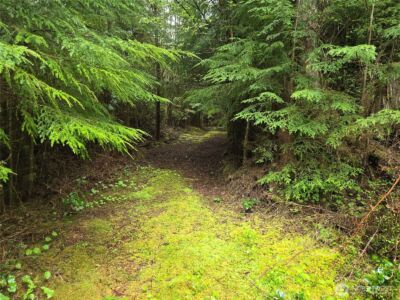 3183 Ocean Beach Road , Pacific Beach, WA 98571 - Photo 9