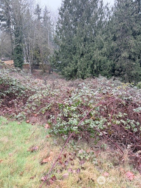 14708 SE 145th Place , Renton, WA 98059