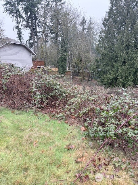 14708 SE 145th Place , Renton, WA 98059