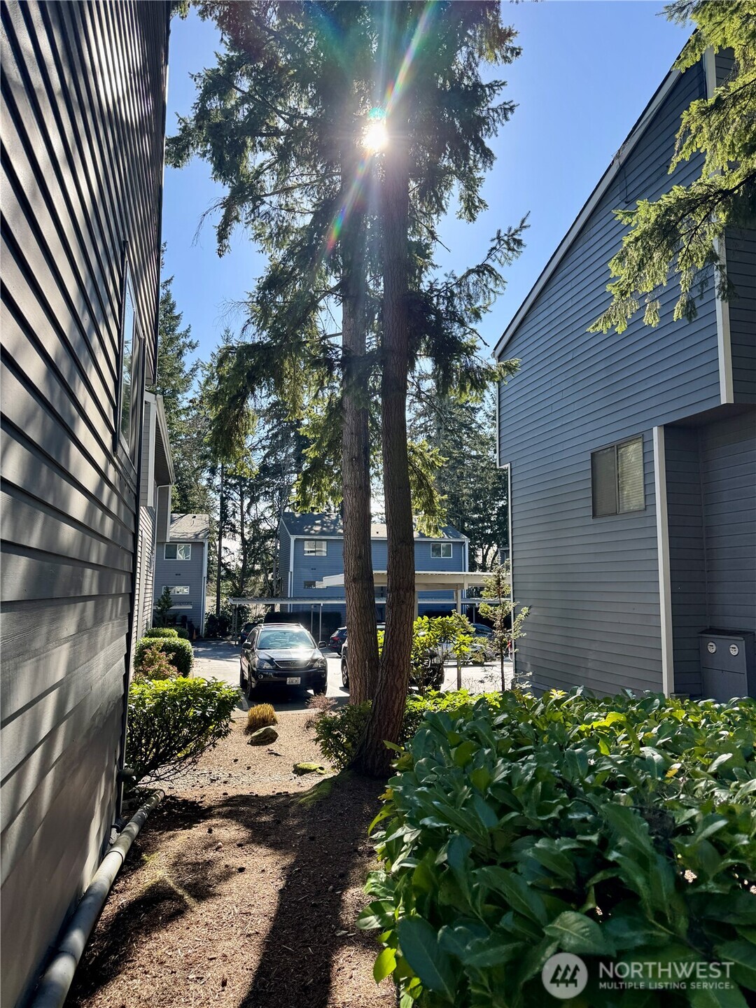 3015 127th Place SE #N-21, Bellevue, WA 98005