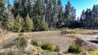 223 W B Street , Shelton, WA 98584