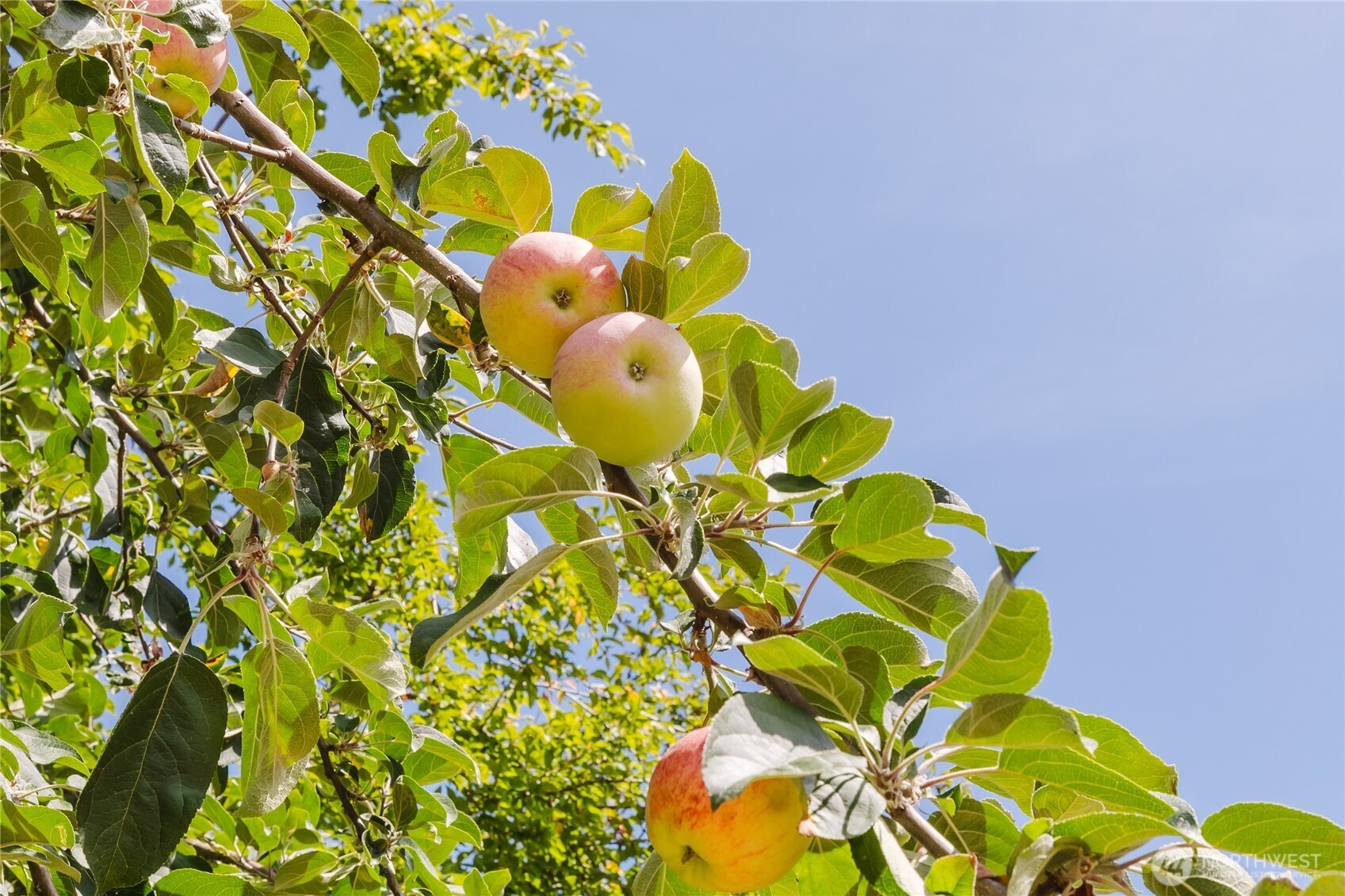 4540 NW Inverness Court , Bremerton, WA 98312