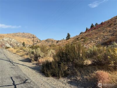 2200 Antoine Creek Road , Chelan, WA 98816 - Photo 11