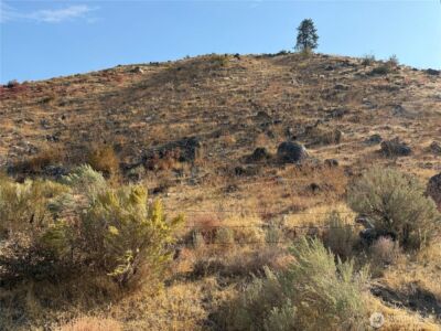 2200 Antoine Creek Road , Chelan, WA 98816 - Photo 5