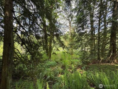 16113 NE 124th Street , Redmond, WA 98052 - Photo 1