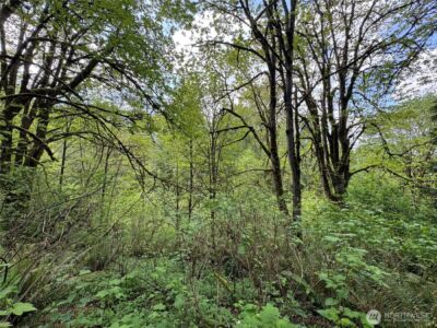 16113 NE 124th Street , Redmond, WA 98052 - Photo 2