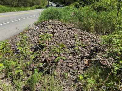 16113 NE 124th Street , Redmond, WA 98052 - Photo 3