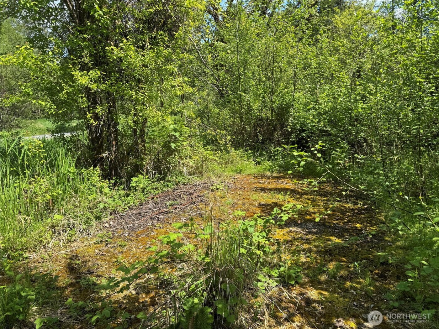 16113 NE 124th Street , Redmond, WA 98052