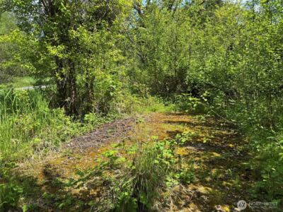 16113 NE 124th Street , Redmond, WA 98052 - Photo 4