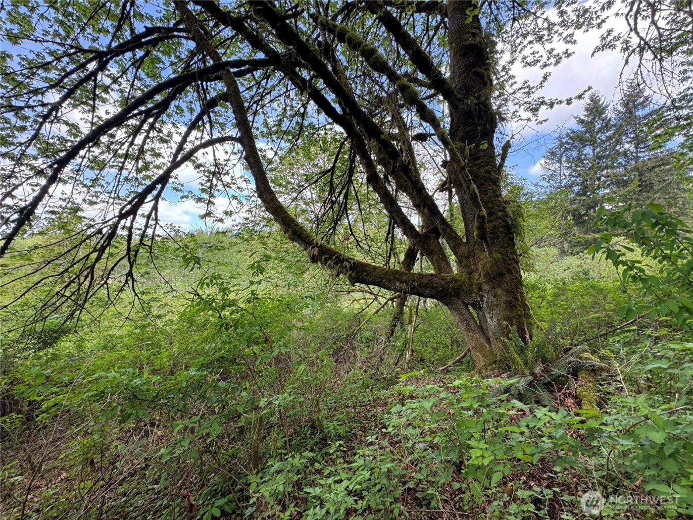 16113 NE 124th Street , Redmond, WA 98052