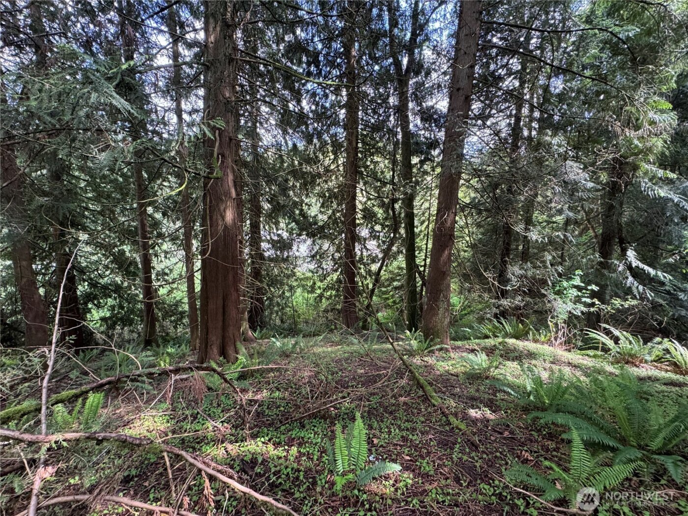 16113 NE 124th Street , Redmond, WA 98052