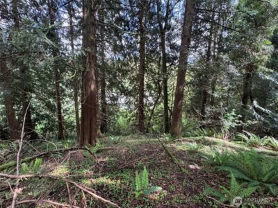 16113 NE 124th Street , Redmond, WA 98052 - Photo 8