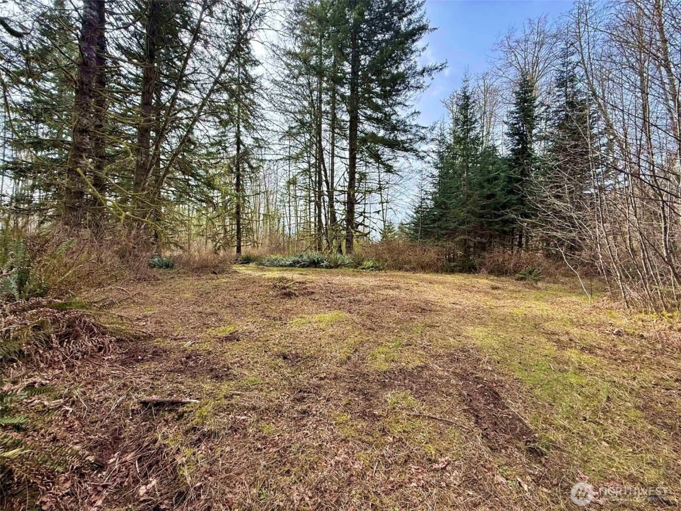 246 Calvin Road , Cinebar, WA 98533