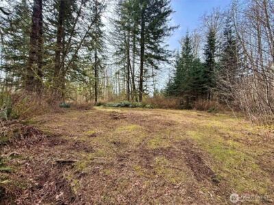 246 Calvin Road , Cinebar, WA 98533 - Photo 28