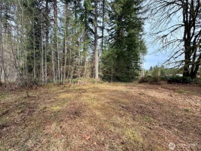 246 Calvin Road , Cinebar, WA 98533 - Photo 30