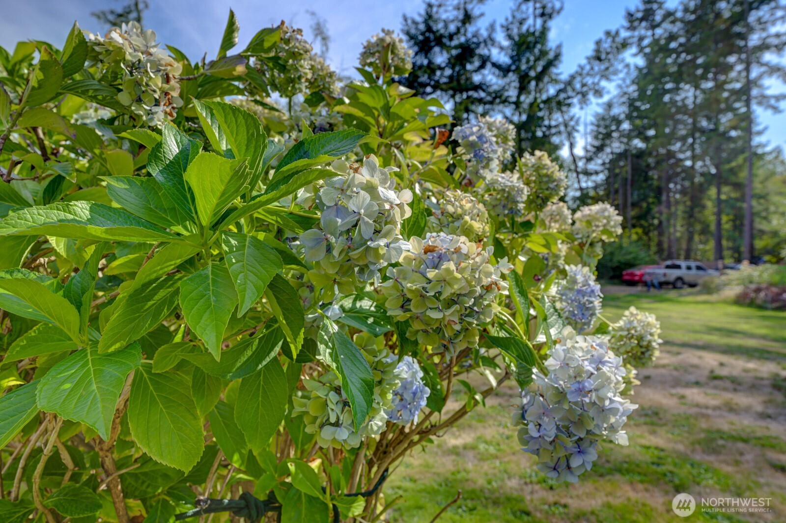 5315 Whiteman Road SW, Longbranch, WA 98351