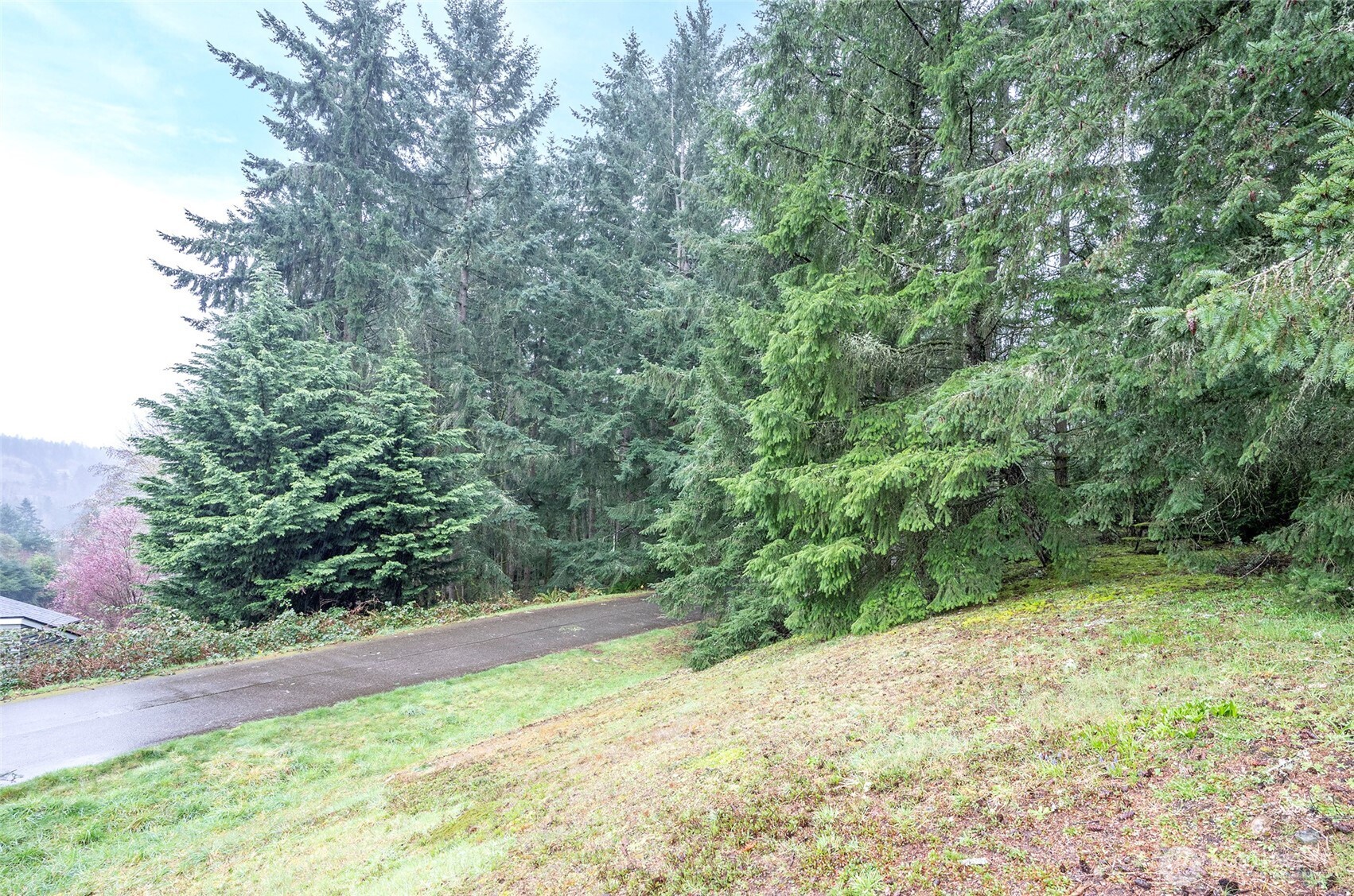 9806 Sari Lane , Gig Harbor, WA 98332