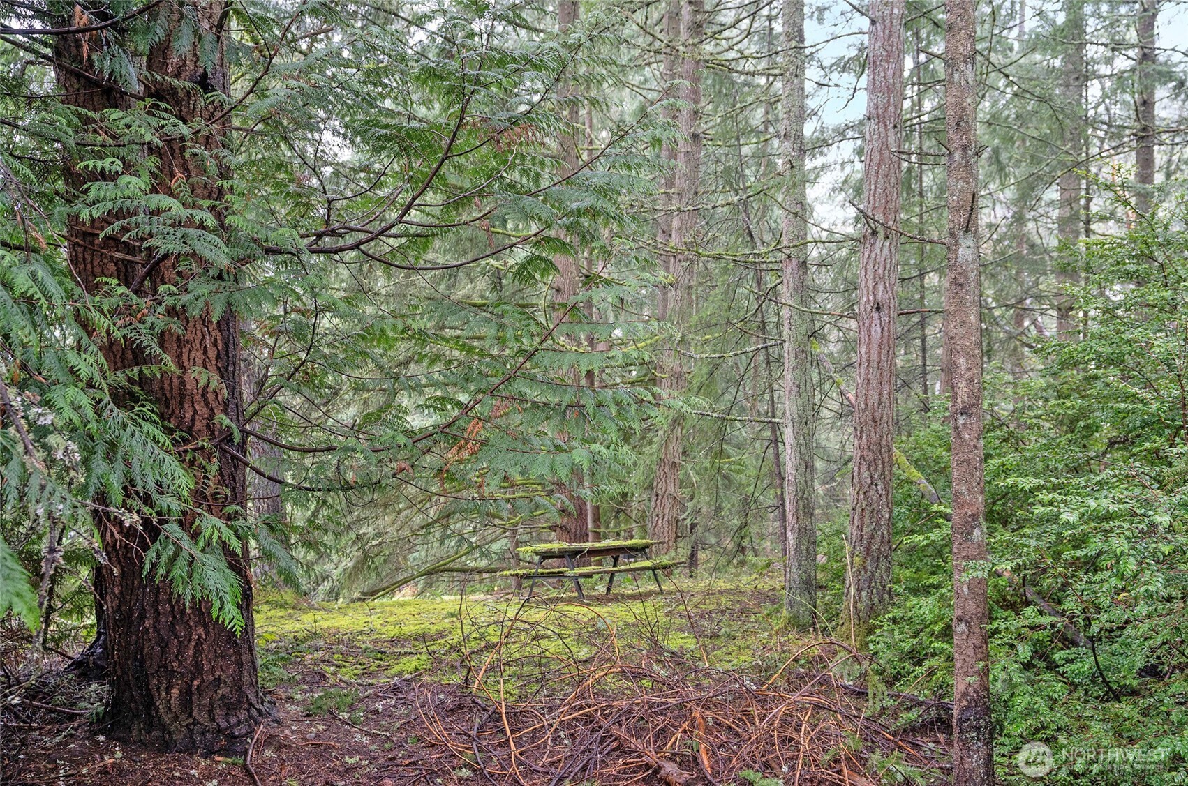 9806 Sari Lane , Gig Harbor, WA 98332