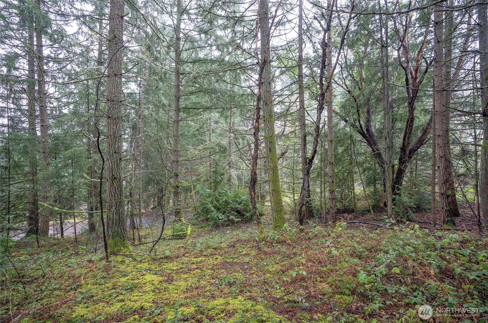 9806 Sari Lane , Gig Harbor, WA 98332