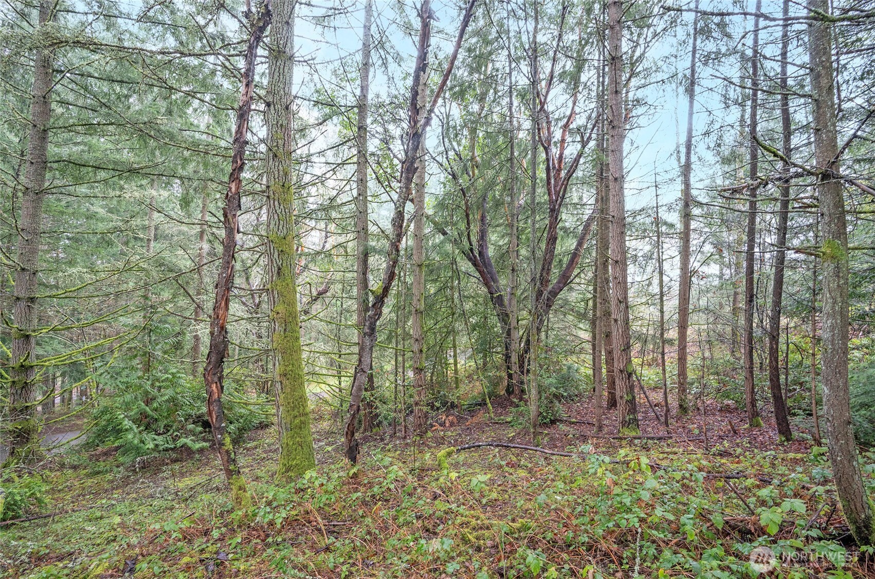 9806 Sari Lane , Gig Harbor, WA 98332