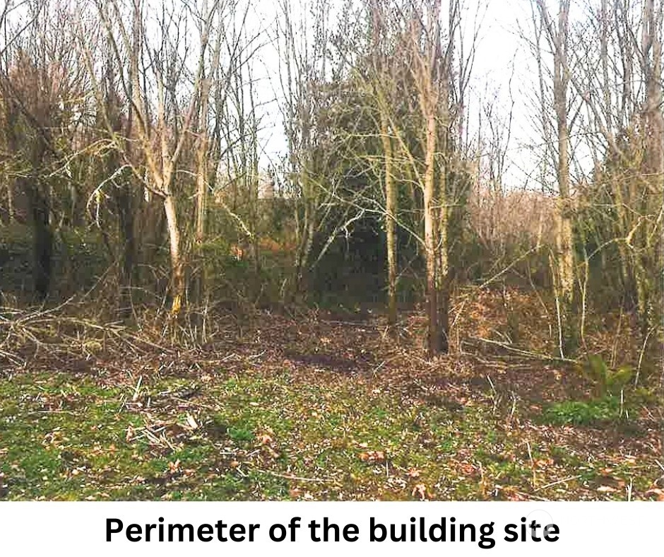 14817 24th St SW , Lakebay, WA 98349