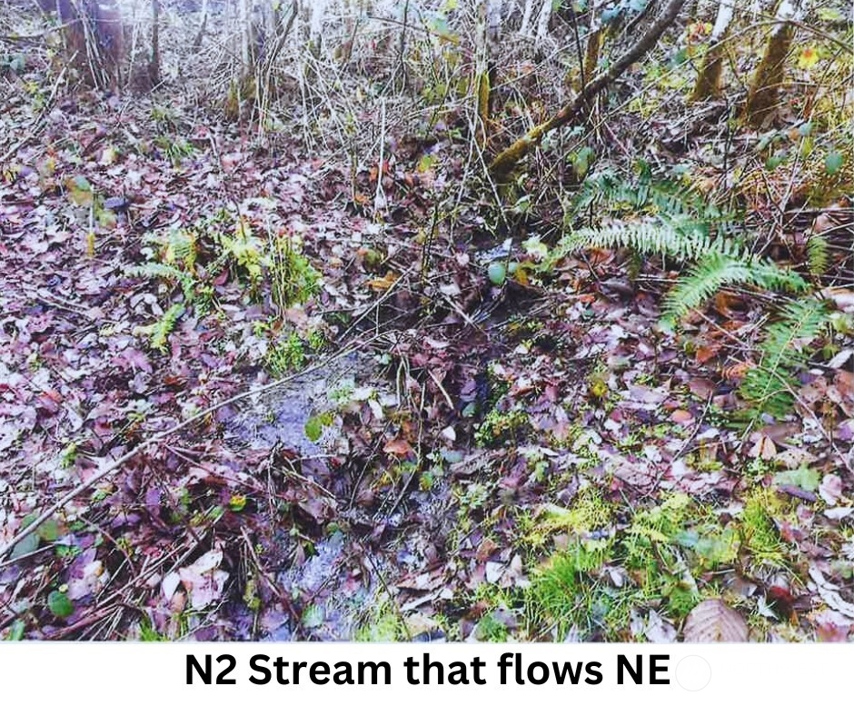 14817 24th St SW , Lakebay, WA 98349