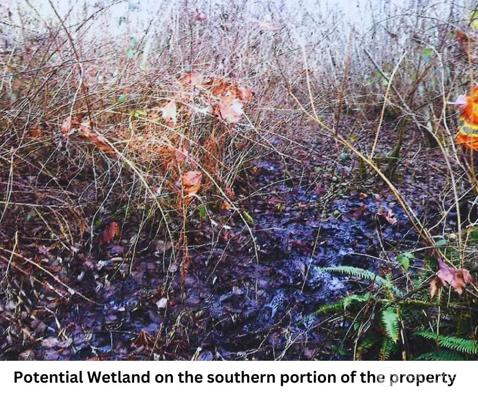 14817 24th St SW , Lakebay, WA 98349