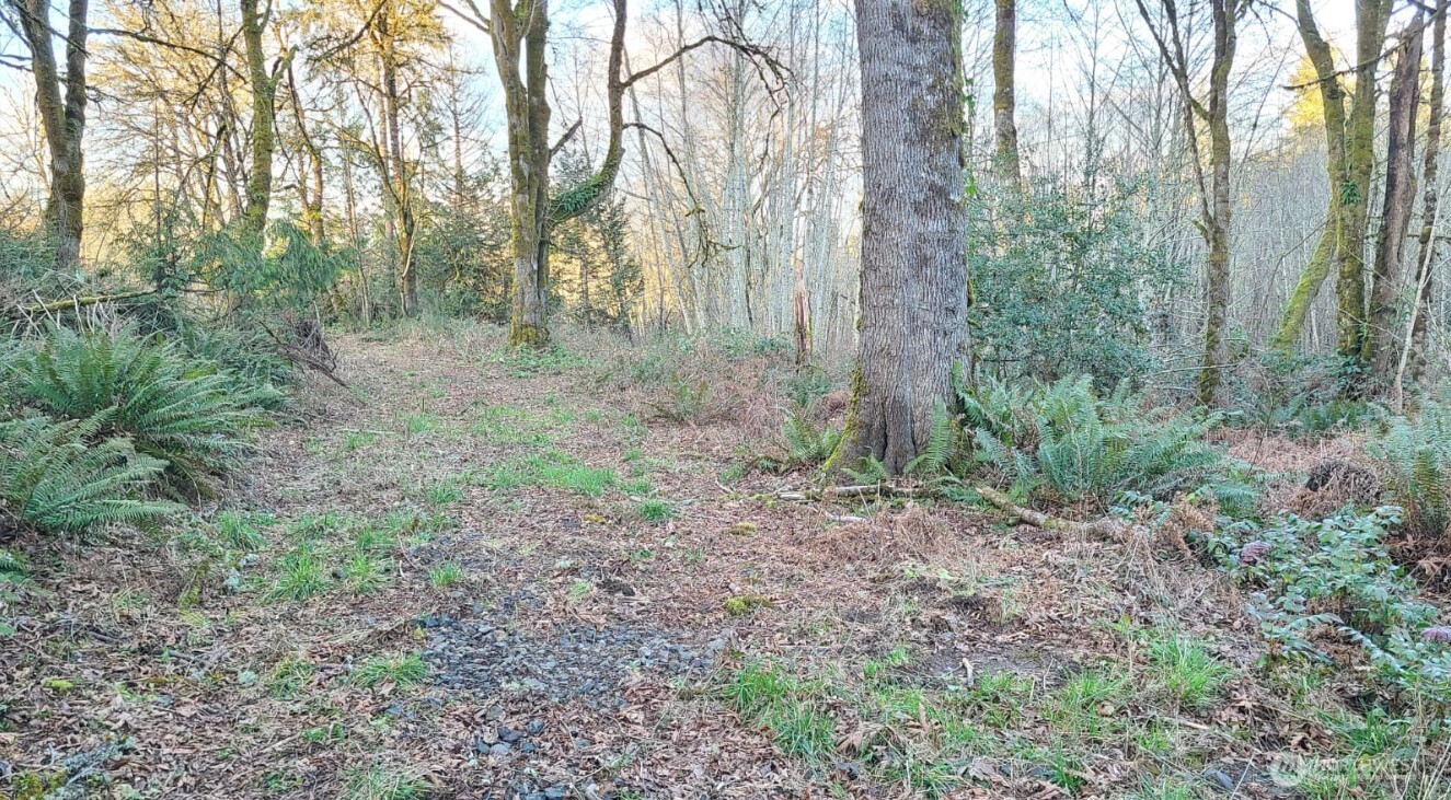 14817 24th St SW , Lakebay, WA 98349