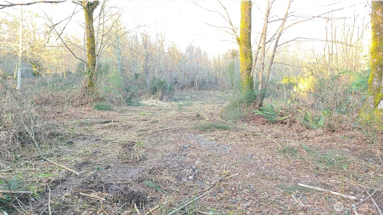 14817 24th St SW , Lakebay, WA 98349