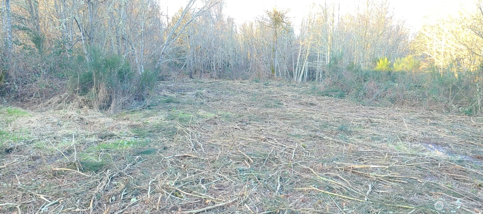 14817 24th St SW , Lakebay, WA 98349