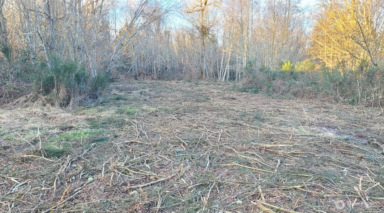 14817 24th St SW , Lakebay, WA 98349