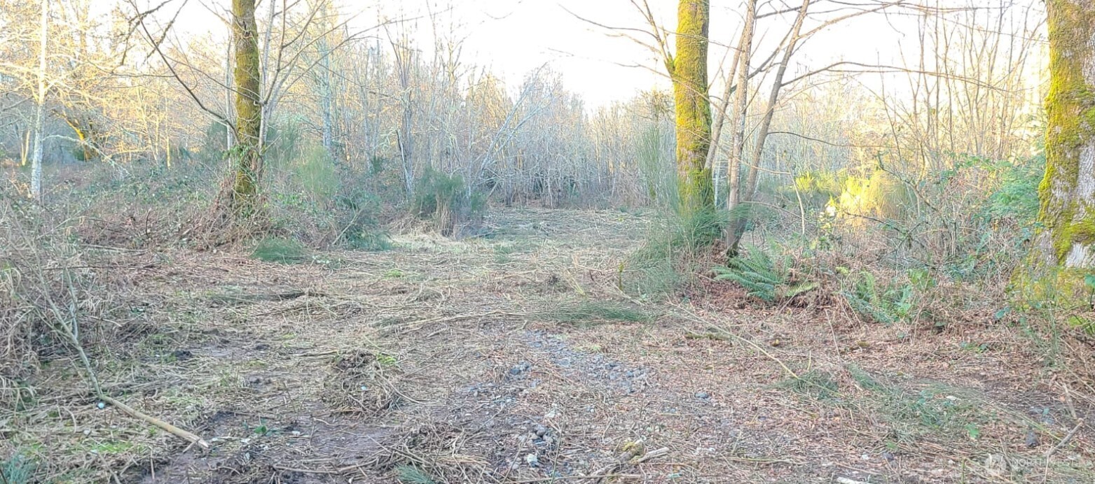 14817 24th St SW , Lakebay, WA 98349