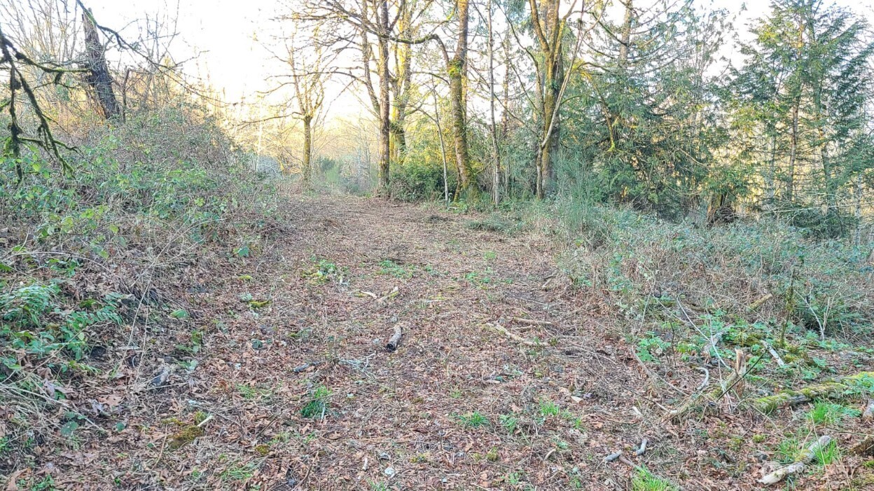 14817 24th St SW , Lakebay, WA 98349