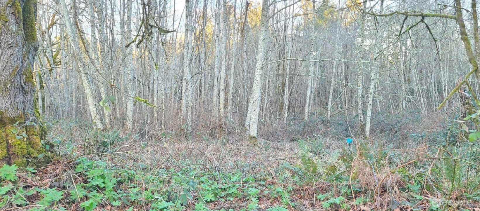 14817 24th St SW , Lakebay, WA 98349