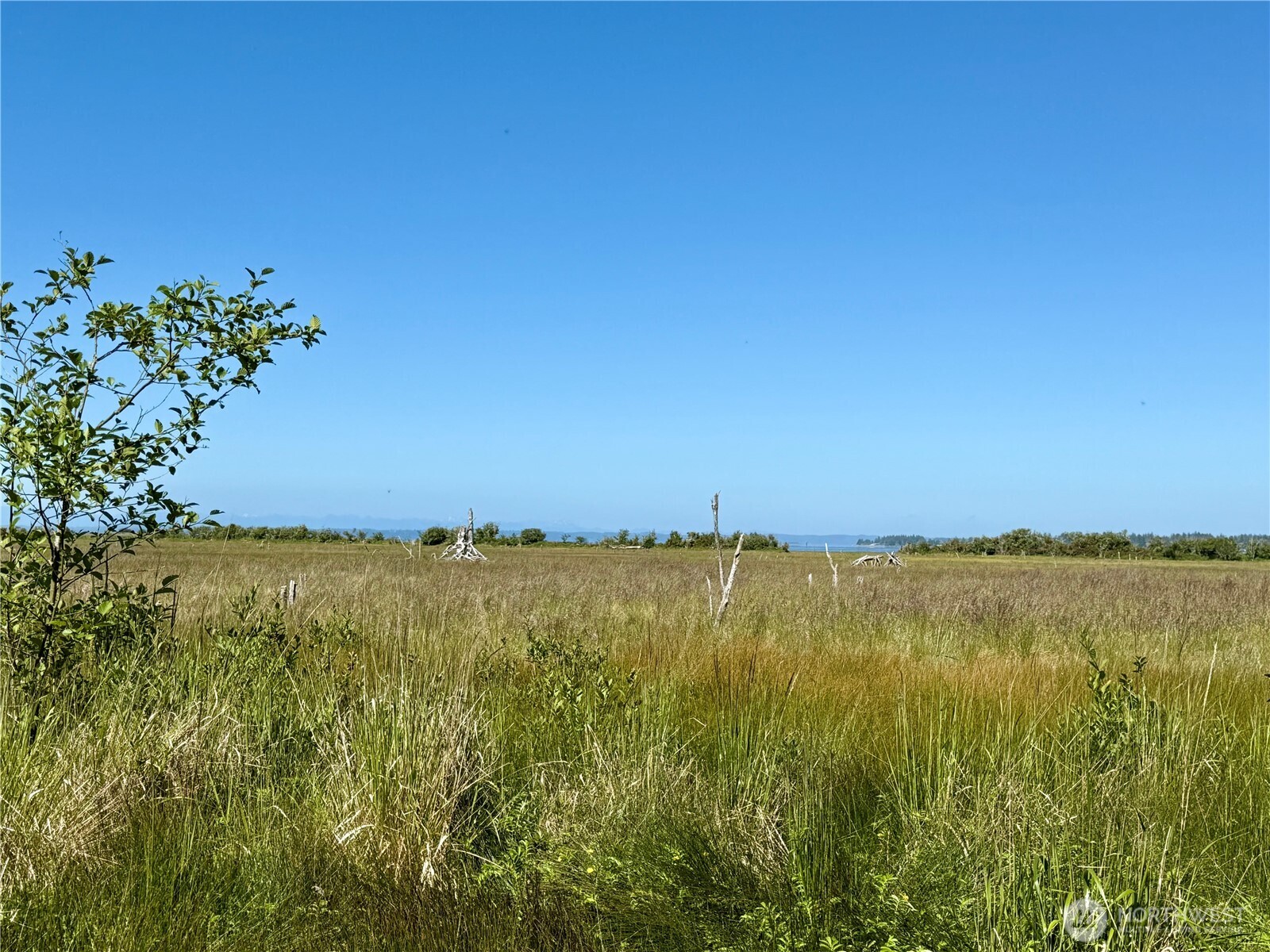 114 E Bayview Lane , Westport, WA 98595